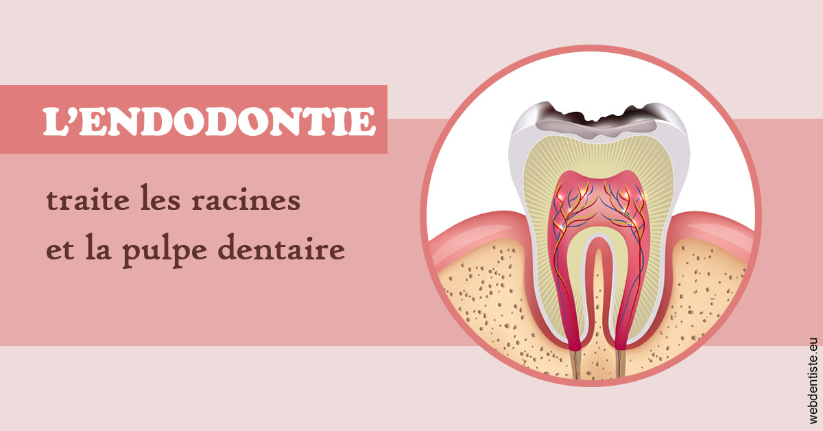 https://dr-olivier-godiveau.chirurgiens-dentistes.fr/L'endodontie 2