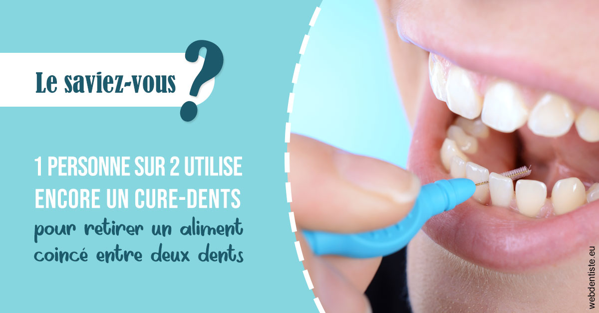 https://dr-olivier-godiveau.chirurgiens-dentistes.fr/Cure-dents 1