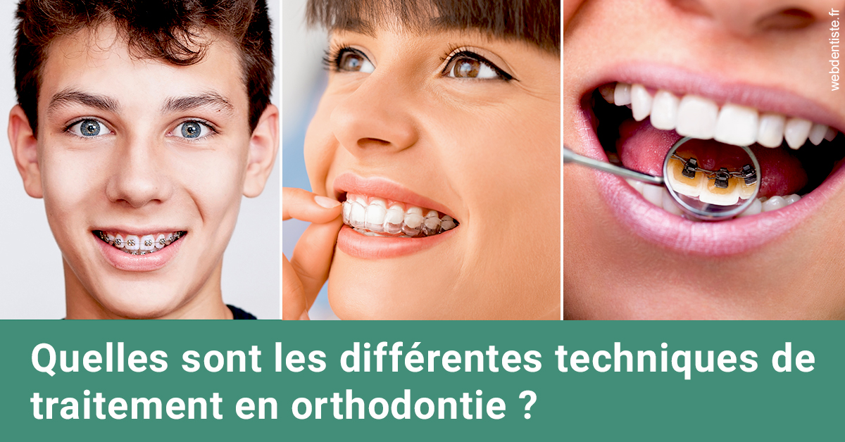 https://dr-olivier-godiveau.chirurgiens-dentistes.fr/Les différentes techniques de traitement 2